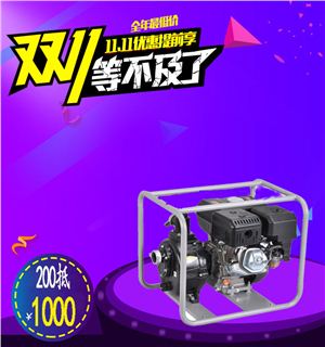 2寸汽油高压化工水泵——EU-20GB